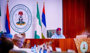 Council of State passes vote of confidence on President Tinubu